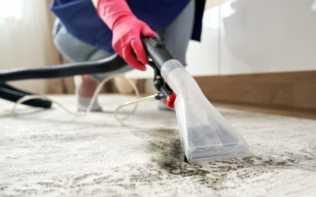 How to Clean Carpet & Get Stains Out